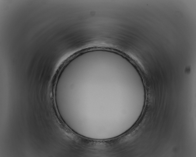 X0000090441070200707131025
