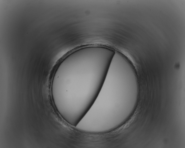 X0000090441071200707131025