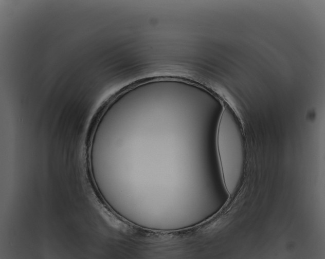 X0000090441072200707131025