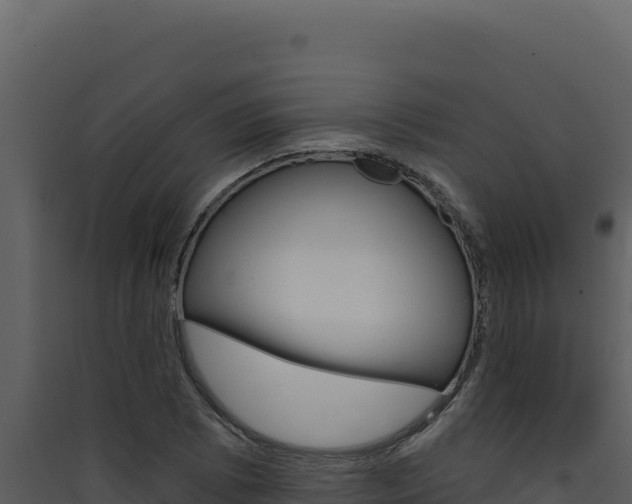 X0000090441073200707131025