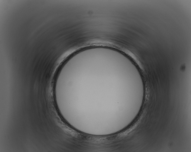 X0000090441074200707131025