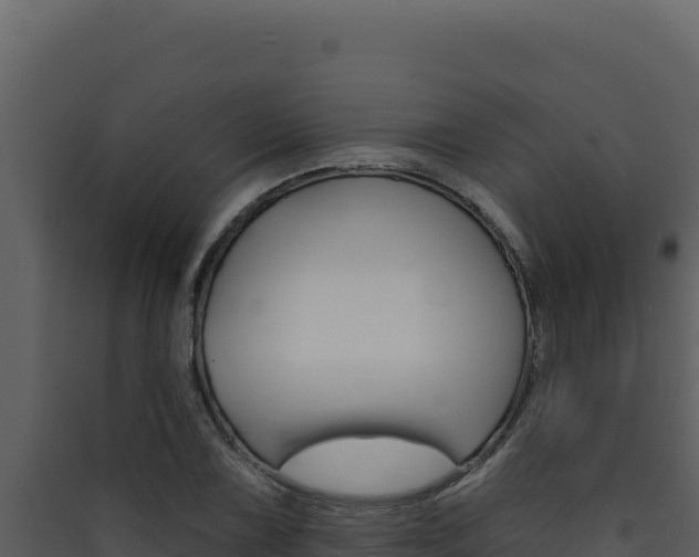 X0000090441075200707131025