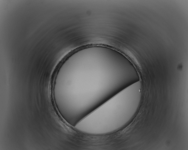 X0000090441076200707131025