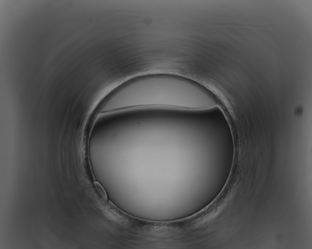 X0000090441077200707131025