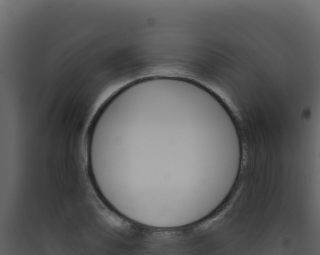 X0000090441078200707131025