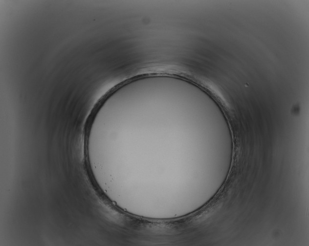 X0000090441079200707131025