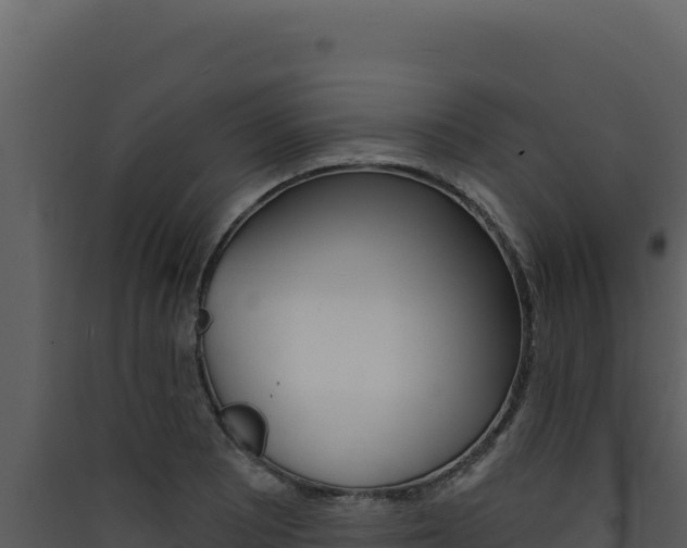 X0000090441081200707131025