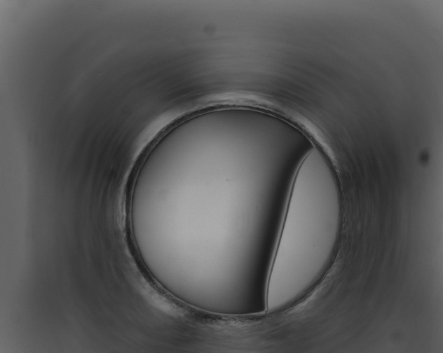 X0000090441082200707131025