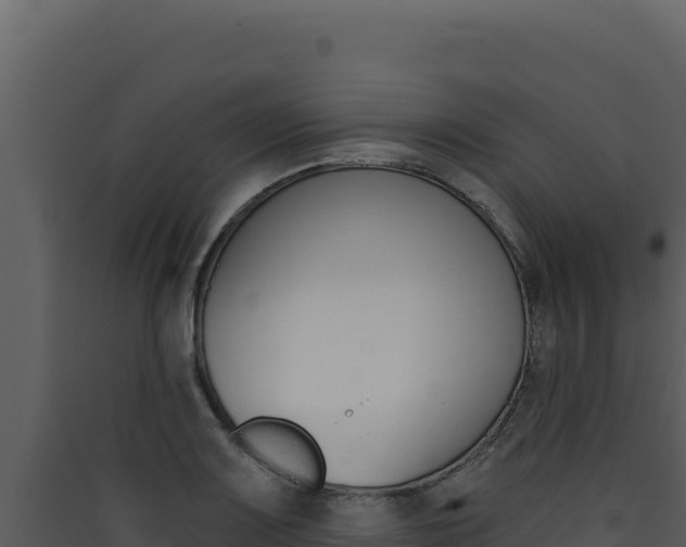 X0000090441083200707131025