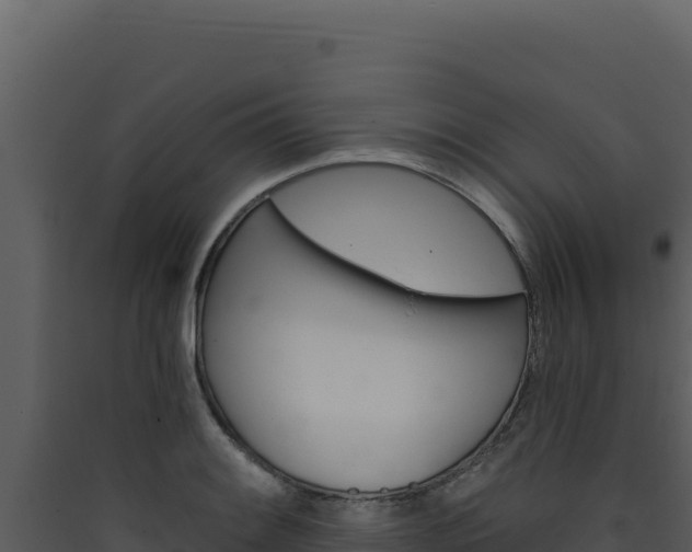 X0000090441084200707131025