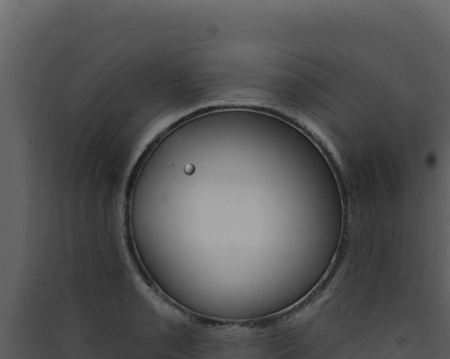 X0000090441085200707131025