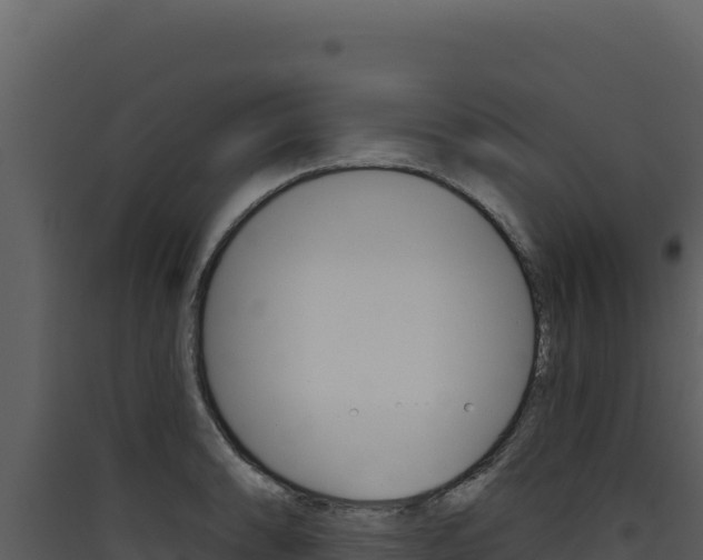 X0000090441086200707131025