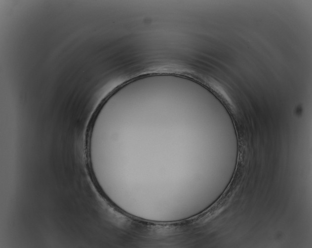 X0000090441087200707131025