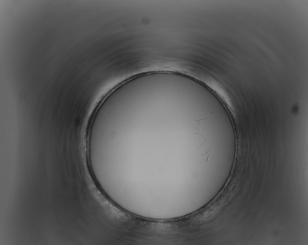 X0000090441088200707131025