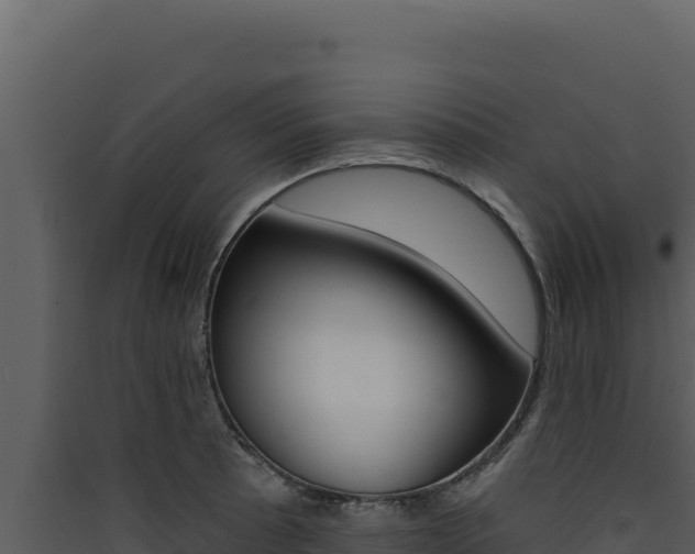 X0000090441089200707131025