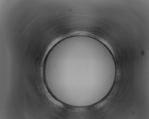 X0000090441090200707131025