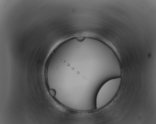 X0000090441091200707131025