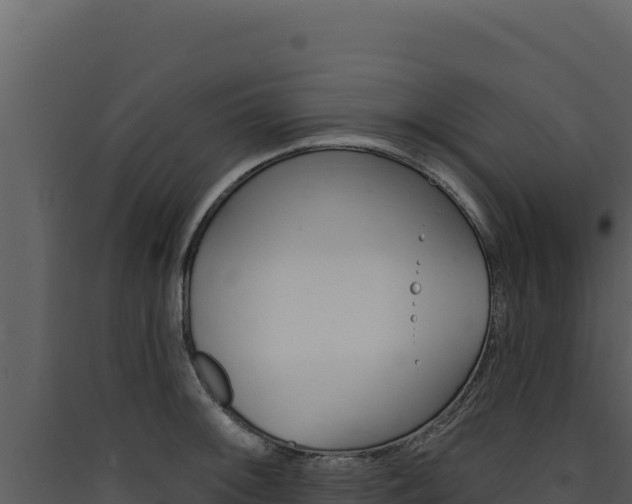 X0000090441092200707131025