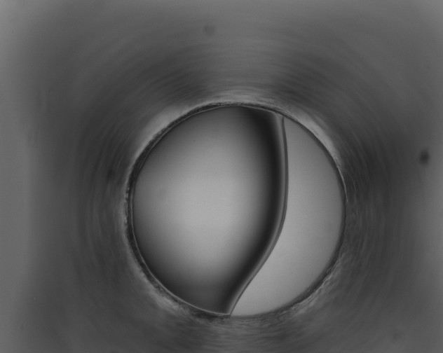 X0000090441093200707131025
