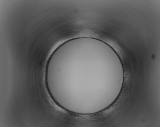 X0000090441094200707131025