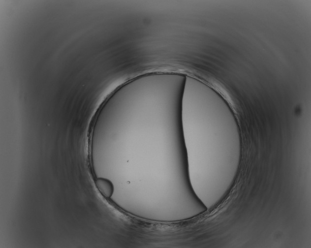 X0000090441095200707131025