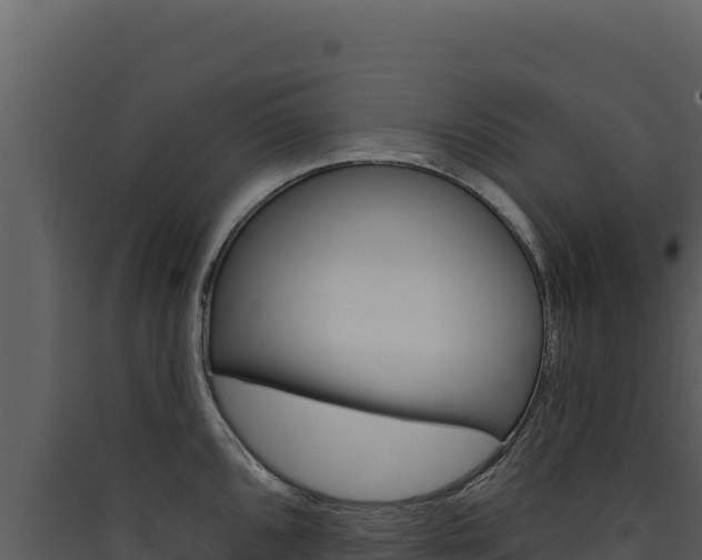X0000090441096200707131025