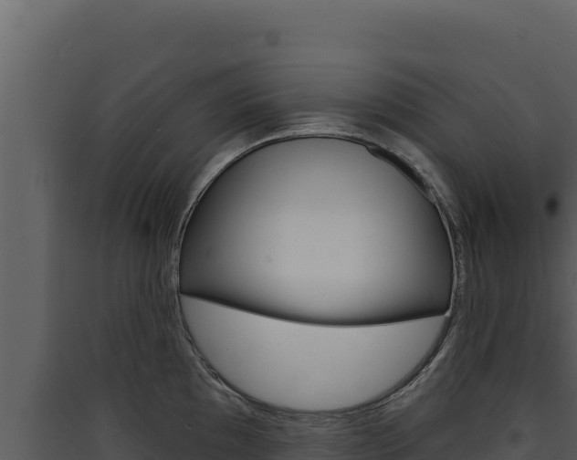 X0000090441097200707131025