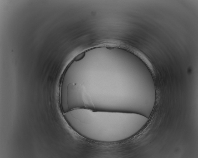 X0000090441099200707131025