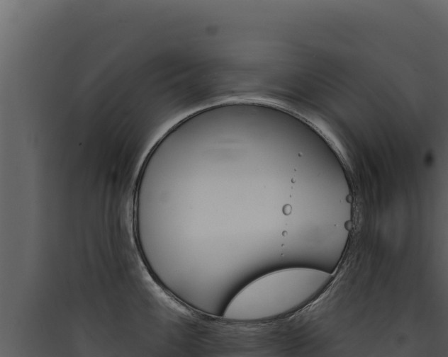 X0000090441100200707131025