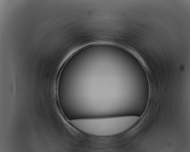 X0000090441101200707131025