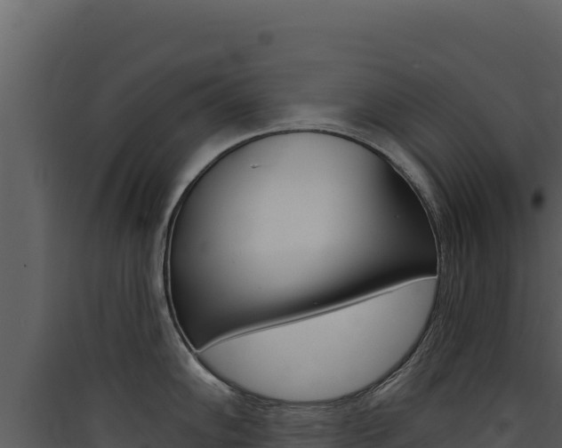 X0000090441102200707131025