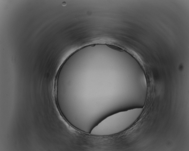 X0000090441103200707131025