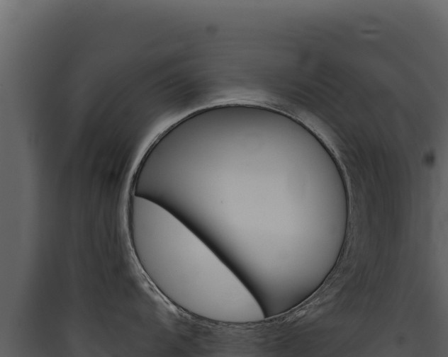 X0000090441104200707131025
