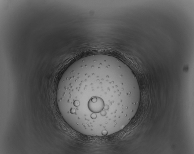 X0000090441105200707131024