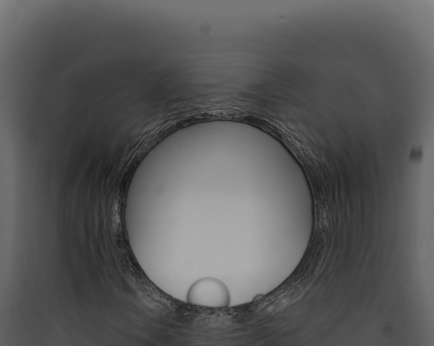 X0000090441106200707131024