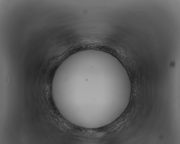 X0000090441109200707131024