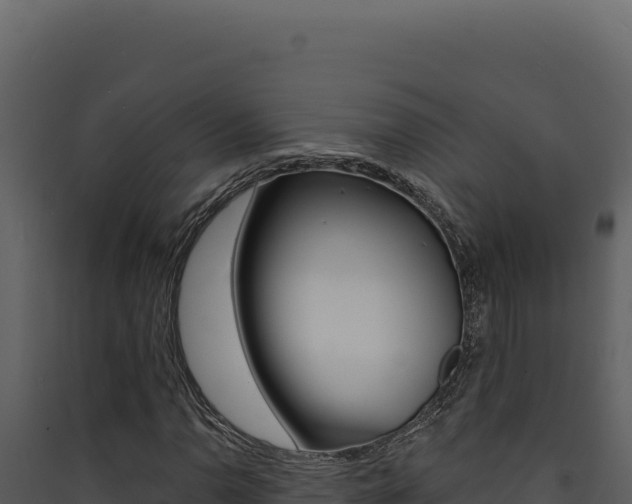 X0000090441110200707131024