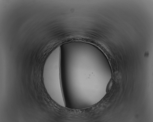X0000090441111200707131024