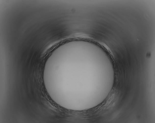X0000090441112200707131024