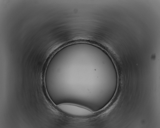 X0000090441113200707131024
