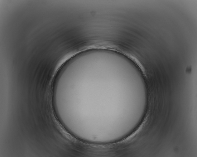 X0000090441114200707131024