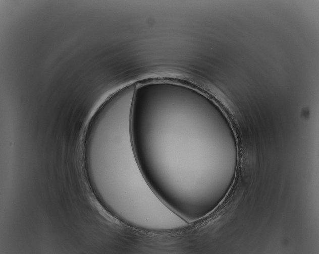 X0000090441116200707131024