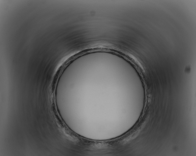 X0000090441117200707131024