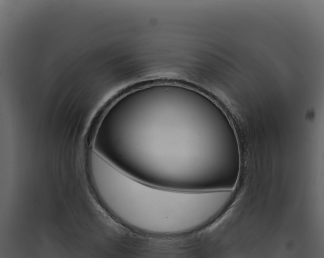 X0000090441118200707131024