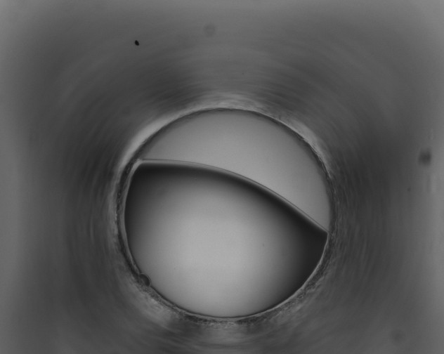 X0000090441120200707131024