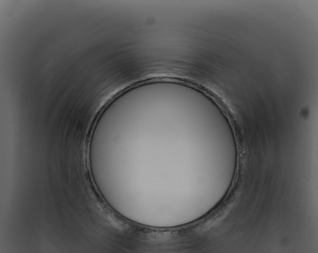 X0000090441121200707131024