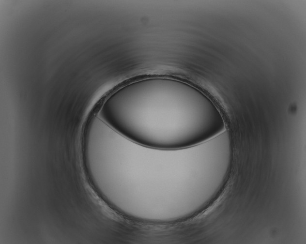 X0000090441122200707131024