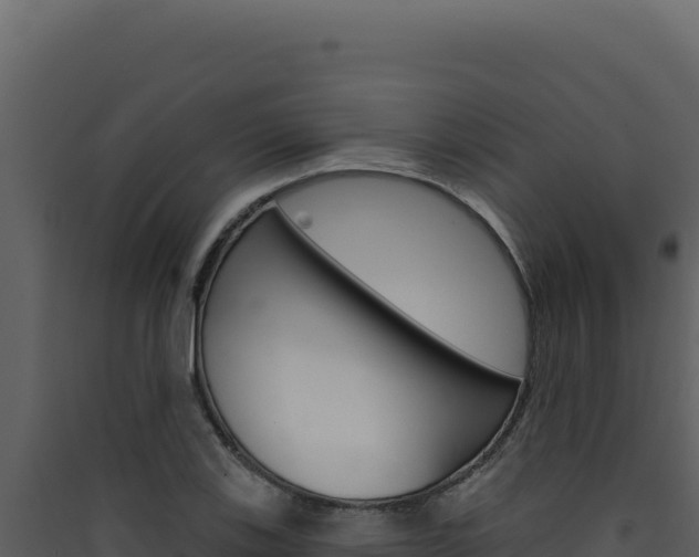 X0000090441123200707131024