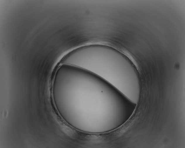 X0000090441124200707131024