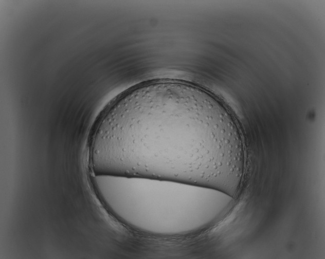 X0000090441125200707131024